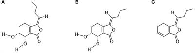 A Network-Based Method for Mechanistic Investigation and Neuroprotective Effect on Post-treatment of Senkyunolid-H Against Cerebral Ischemic Stroke in Mouse